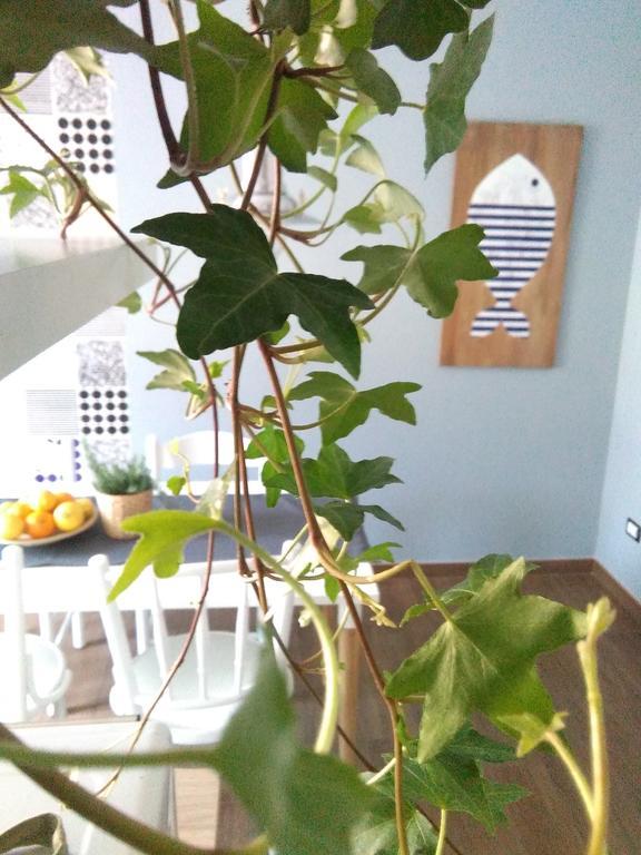 Navigad Apartment วิเอตริ ภายนอก รูปภาพ